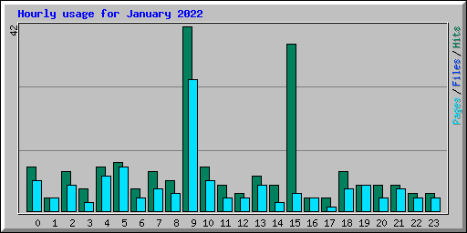 Hourly usage for January 2022